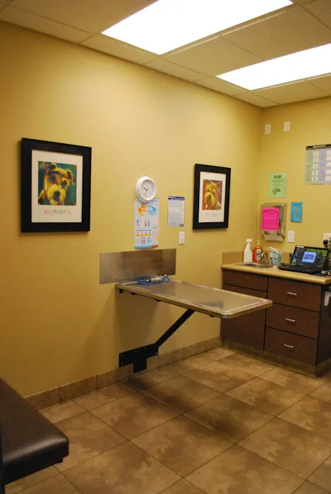 South Temecula Veterinary Hospital Picture 5