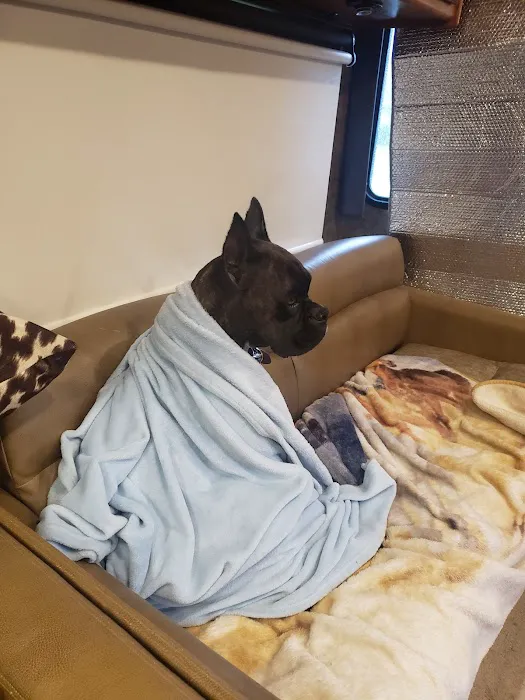 South Temecula Veterinary Hospital Picture 10