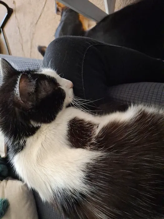 Calvert City Animal Hospital Picture 5