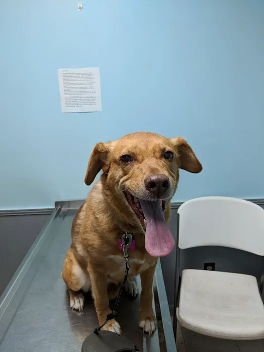 Calvert City Animal Hospital Picture 6