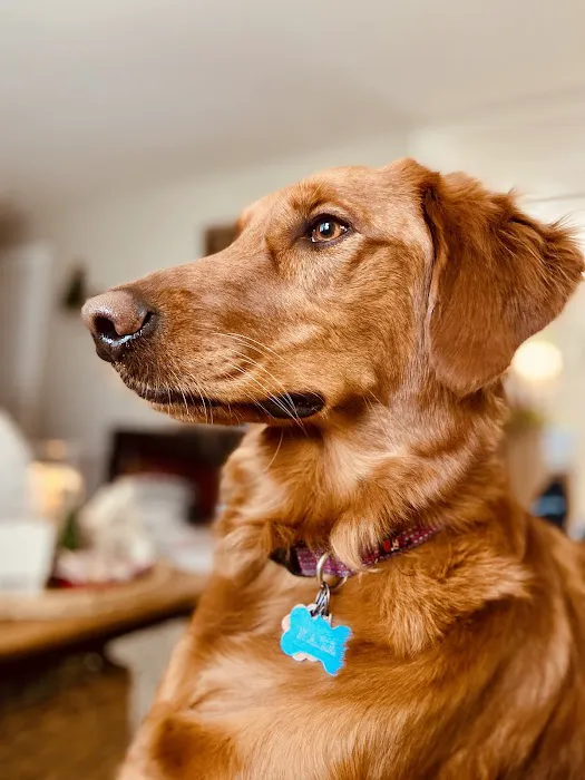 Calvert City Animal Hospital Picture 4