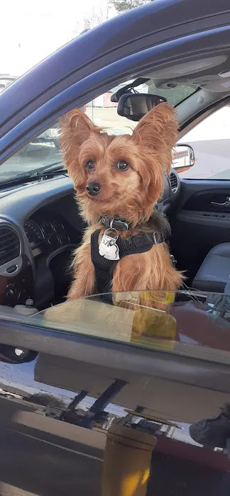 Calvert City Animal Hospital Picture 9