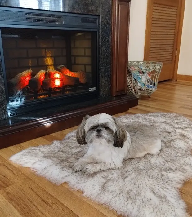 Calvert City Animal Hospital Picture 10