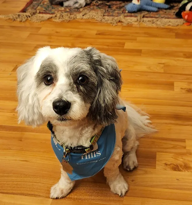 Lakeland Animal Hospital Picture 1