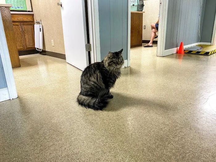 Lakeland Animal Hospital Picture 6