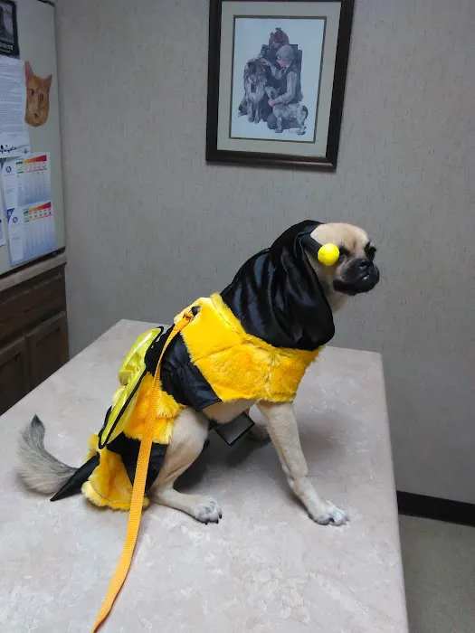 Lakeland Animal Hospital Picture 5