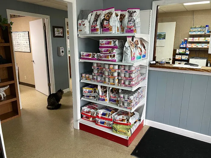 Lakeland Animal Hospital Picture 7