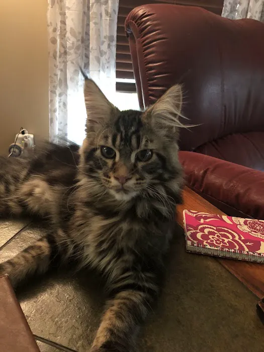 Lakeland Animal Hospital Picture 9