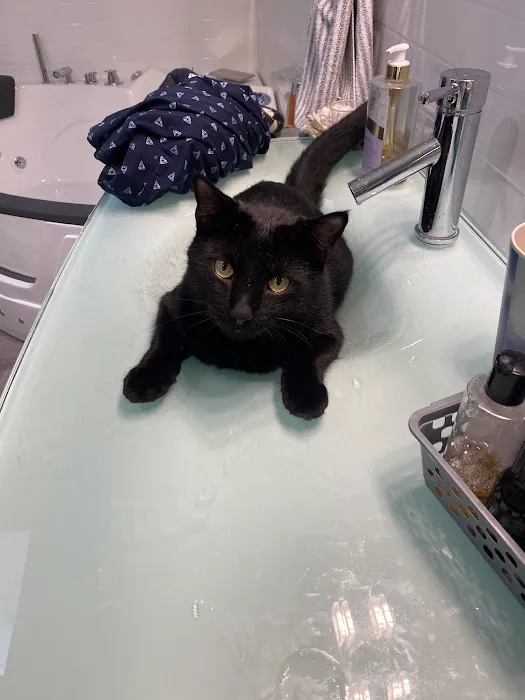 Companion Animal Hospital Picture 1