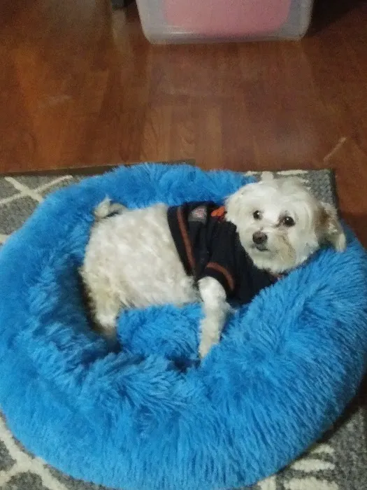 Stone Veterinary Clinic Picture 3