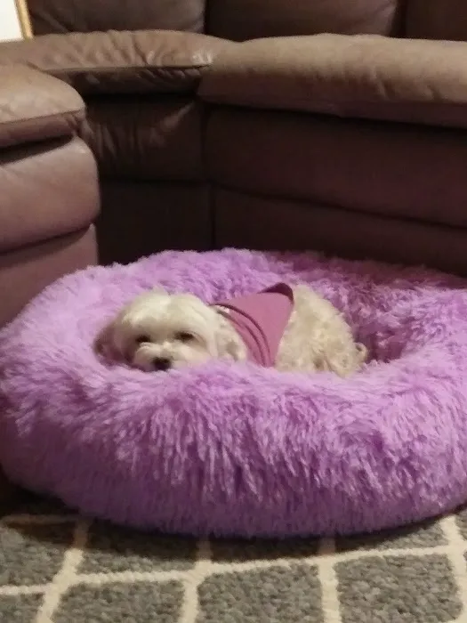 Stone Veterinary Clinic Picture 2