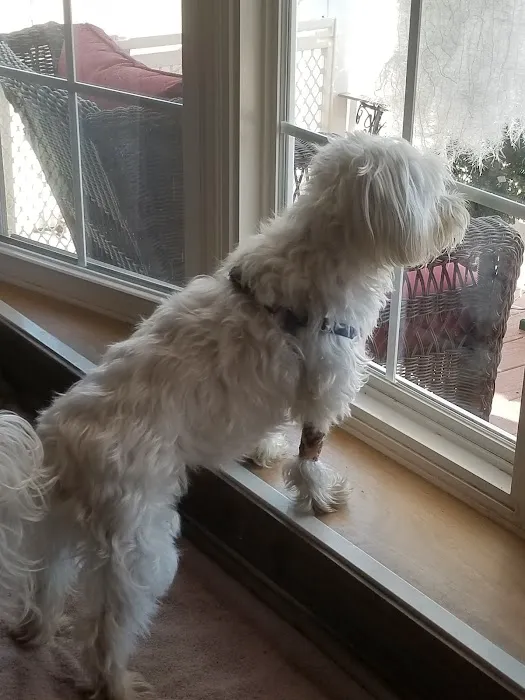 Stone Veterinary Clinic Picture 4