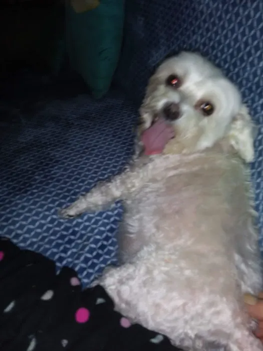 Stone Veterinary Clinic Picture 5