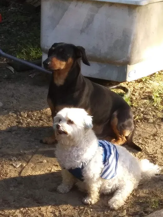 Stone Veterinary Clinic Picture 8