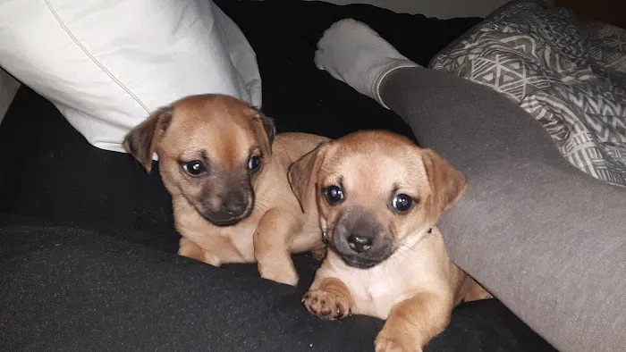 Stone Veterinary Clinic Picture 6