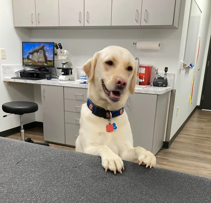 Auburn Oaks Animal Clinic Picture 3