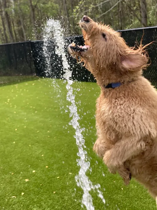 Auburn Oaks Animal Clinic Picture 7