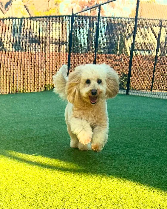 Auburn Oaks Animal Clinic Picture 8