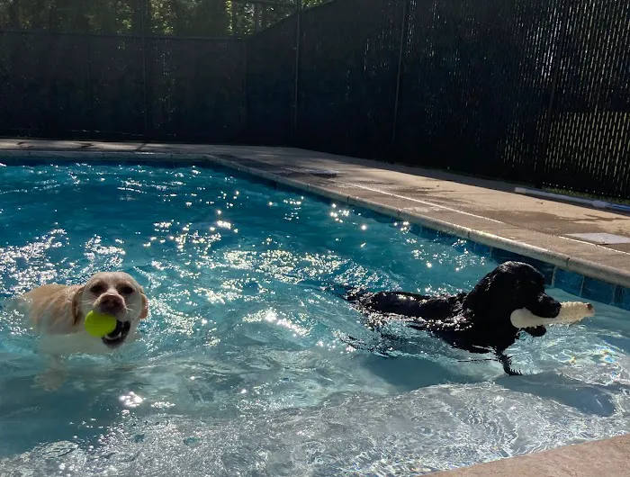 Auburn Oaks Animal Clinic Picture 10