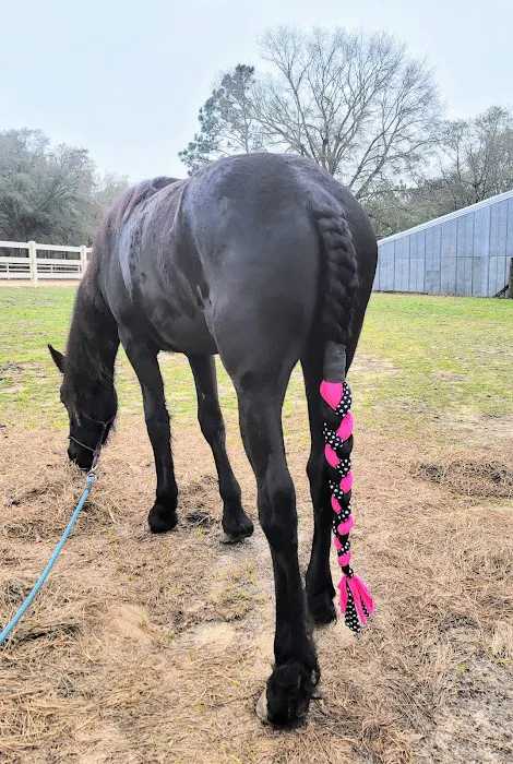 JT Vaughan Large Animal Teaching Hospital Picture 1