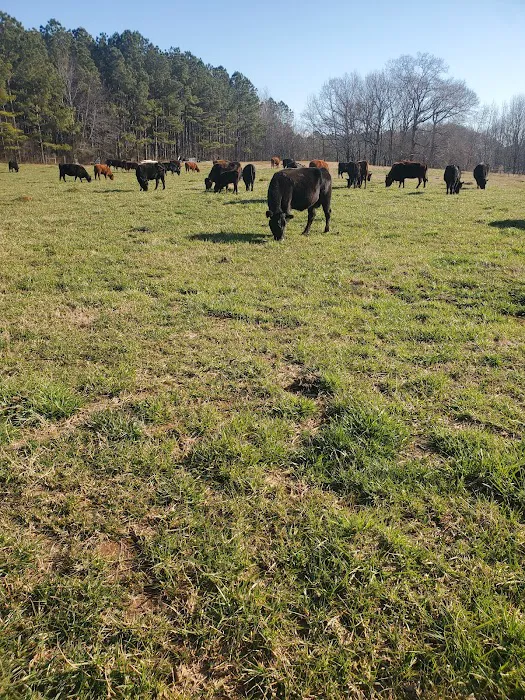 JT Vaughan Large Animal Teaching Hospital Picture 6