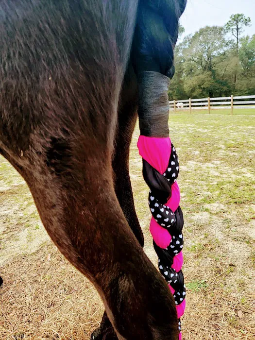 JT Vaughan Large Animal Teaching Hospital Picture 8