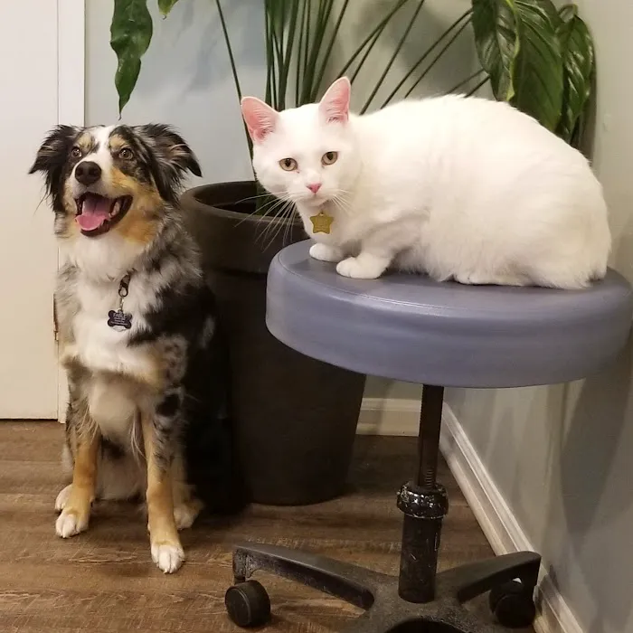 South College Veterinary Clinic Picture 8