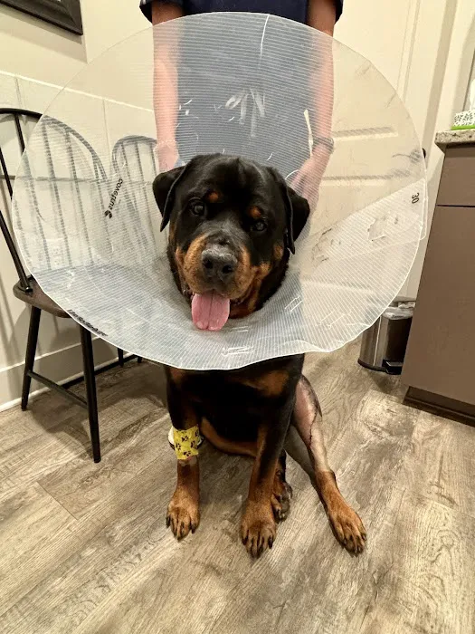 South College Veterinary Clinic Picture 10