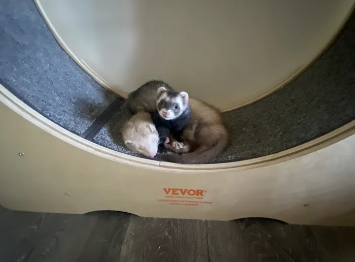 All Creatures Veterinary Clinic Picture 3