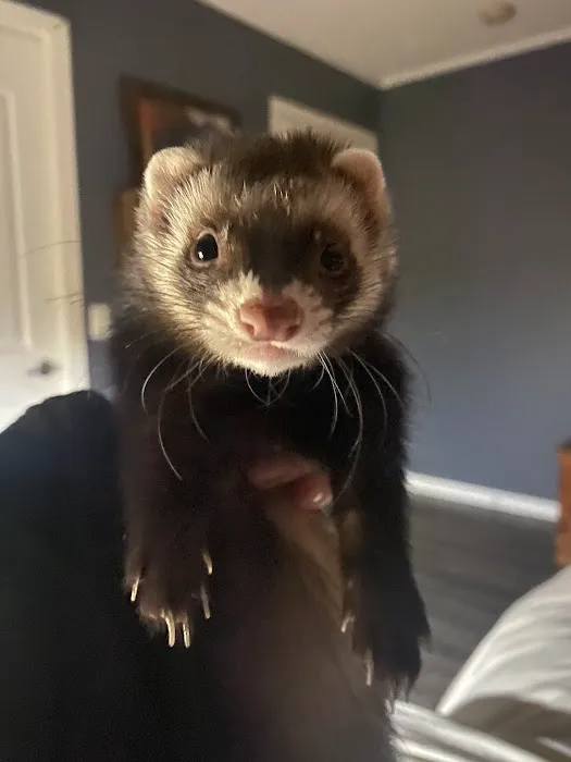 All Creatures Veterinary Clinic Picture 1