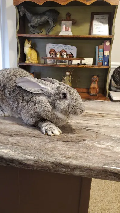 All Creatures Veterinary Clinic Picture 6