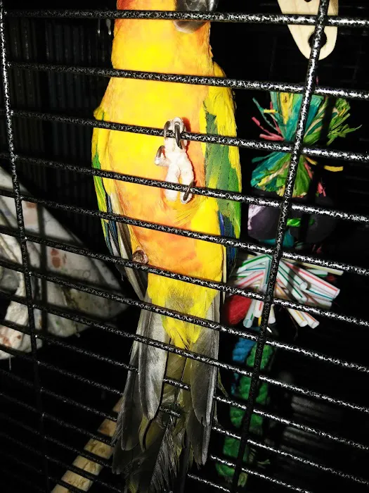 All Creatures Veterinary Clinic Picture 8