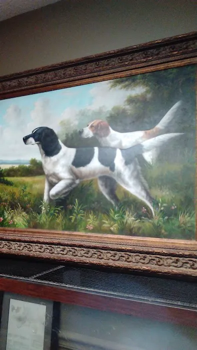 All Creatures Veterinary Clinic Picture 7