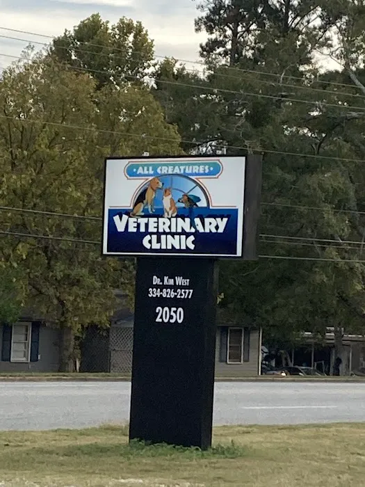 All Creatures Veterinary Clinic Picture 5