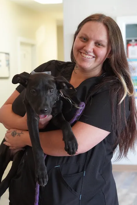 2nd Avenue Animal Hospital Picture 5