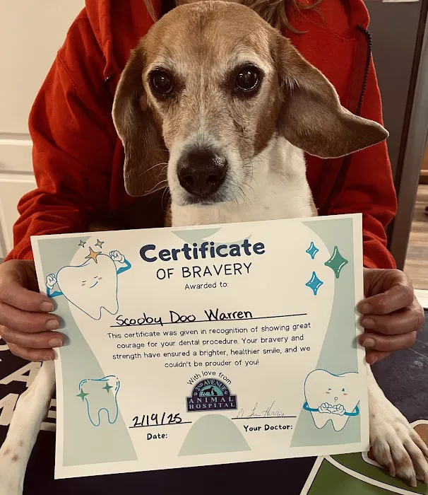 2nd Avenue Animal Hospital Picture 2