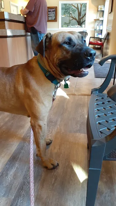 2nd Avenue Animal Hospital Picture 4