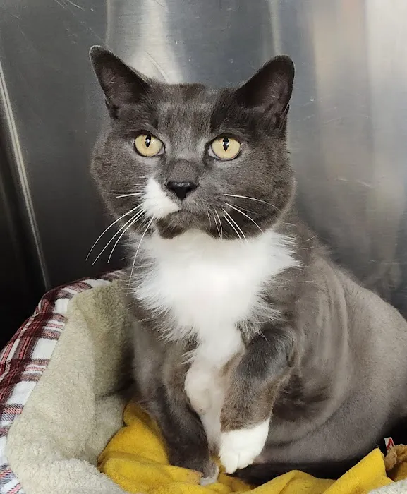 Summerville Animal Hospital Picture 2