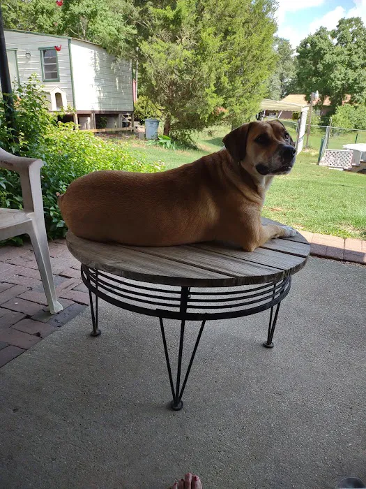 Summerville Animal Hospital Picture 1