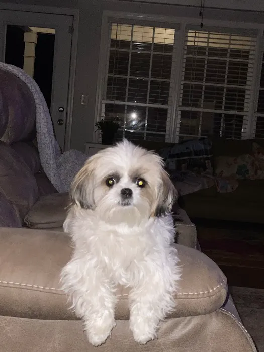 Summerville Animal Hospital Picture 5