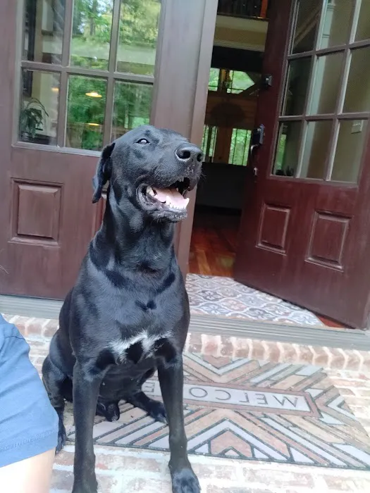 Summerville Animal Hospital Picture 7