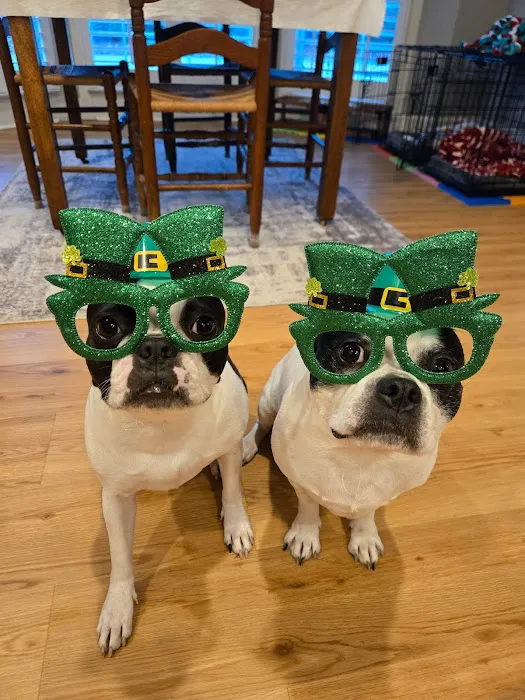 Uptown Veterinary Clinic Picture 4