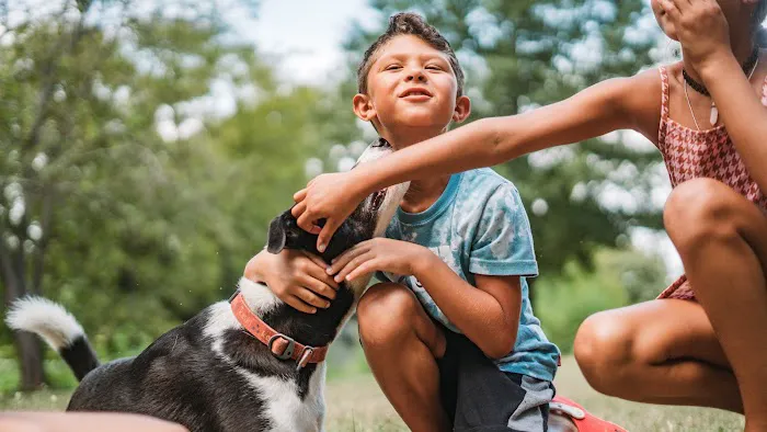 Uptown Veterinary Clinic Picture 1