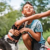 Uptown Veterinary Clinic ico