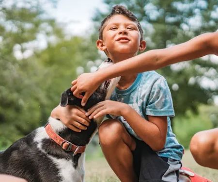 Uptown Veterinary Clinic