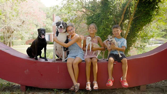 Uptown Veterinary Clinic Picture 2