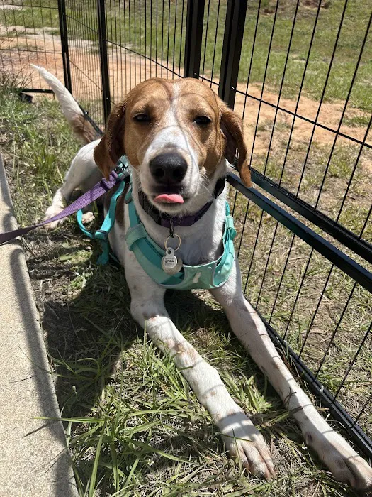 Uptown Veterinary Clinic Picture 6