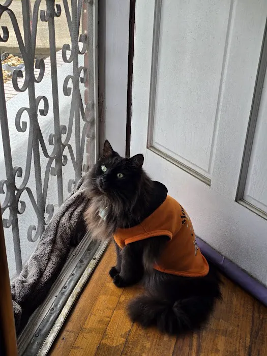 Uptown Veterinary Clinic Picture 5