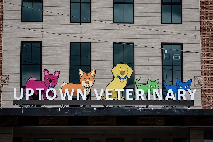 Uptown Veterinary Clinic Picture 8