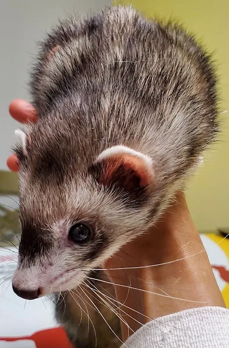 Buena Vista Road Animal Hospital Picture 10